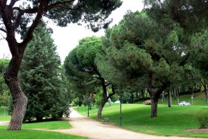 ide to parks in madrid parque del Oeste