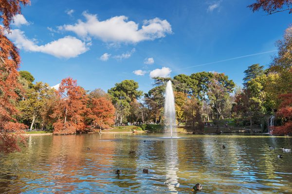 autumn view of Retiro park