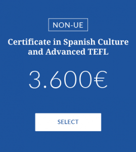 Spanish Culture Course Price